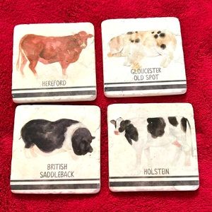 English Farm Animals Cows & Pigs Stone Coasters Set of 4